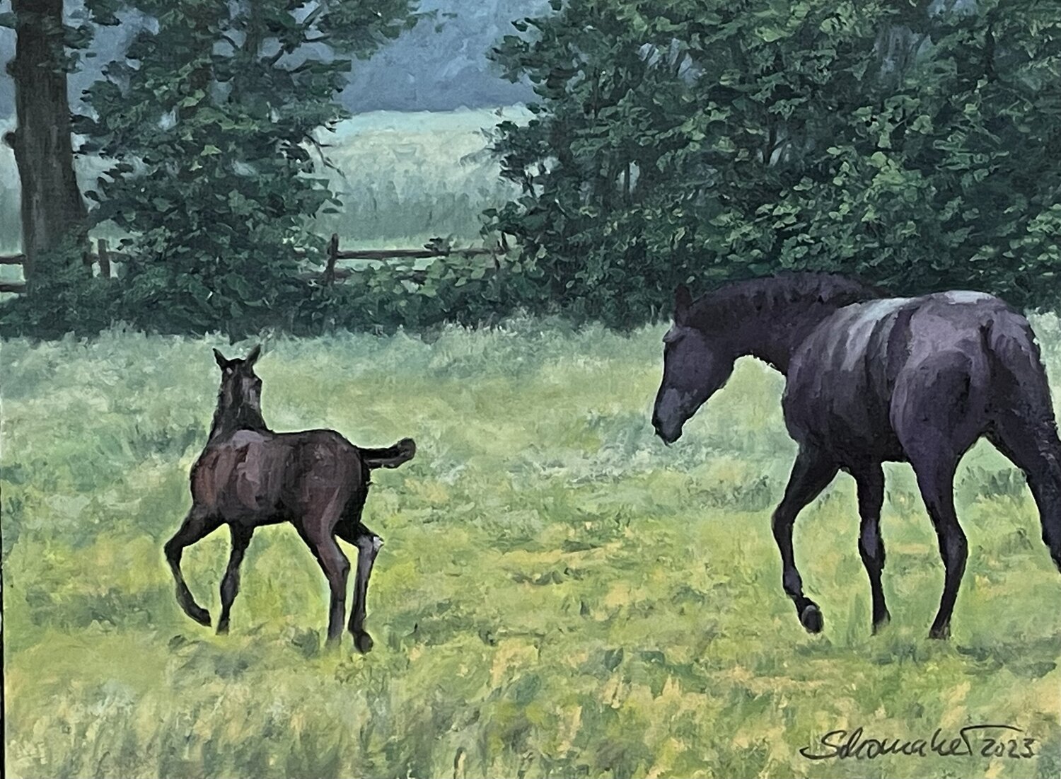 Stute mit Fohlen auf der Koppel Philipp Schomaker