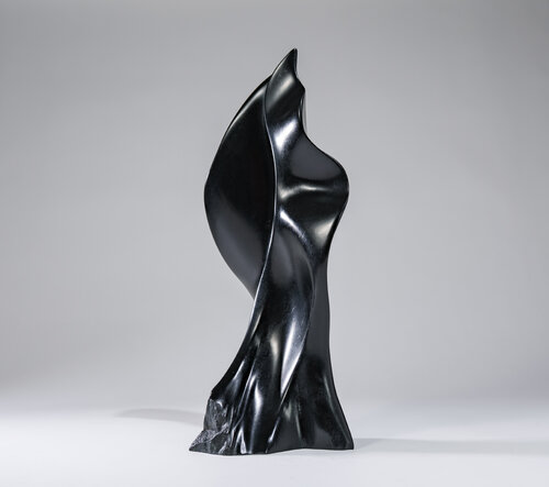 Flowing stone van Kristof Retezar, Beeldhouwwerk te koop op Singulart