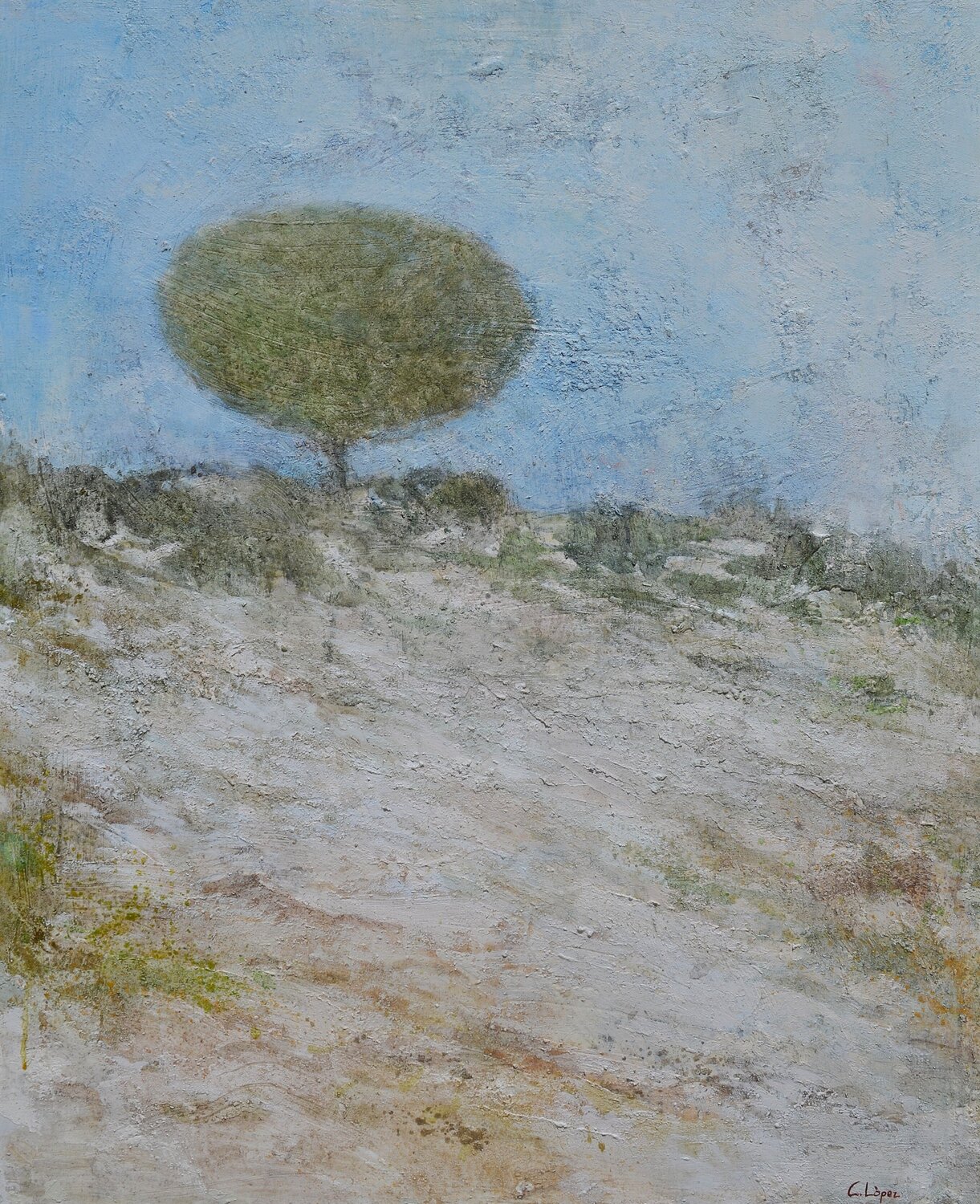 Pino. Carlos López González