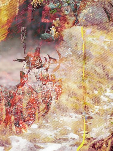 LA BELLE DAME SANS REGRETS van Gloria Jubero, Fotografie te koop op Singulart