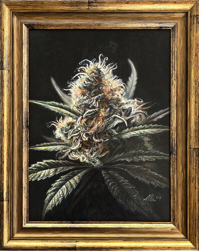 Oreoz Portrait – Realistic Cannabis Art von Alla Ostrovsky, Malerei kaufen auf Singulart