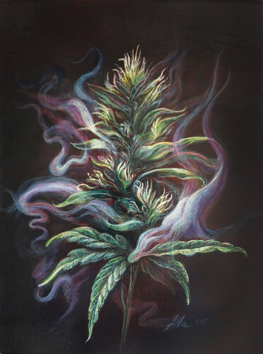 Scent of Indica – Symbolist Cannabis Art par Alla Ostrovsky, Peinture en vente sur Singulart
