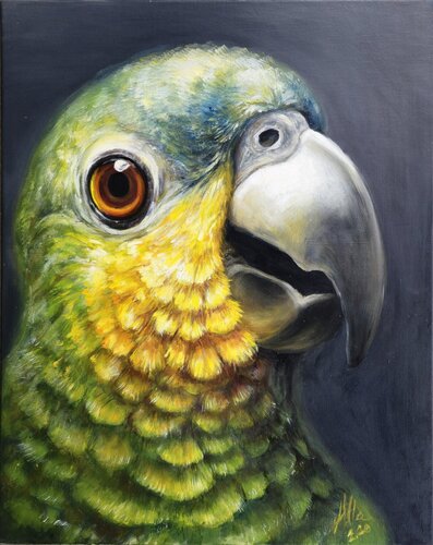 Amazon Parrot Coco – Vibrant and Expressive di Alla Ostrovsky, Pittura in vendita su Singulart