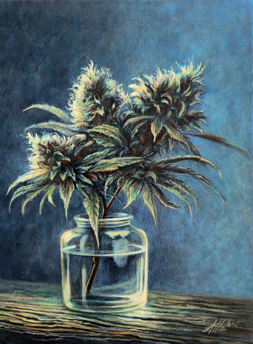 Cannabis Indica Branch in Glass Jar – Old Master Style Still Life di Alla Ostrovsky, Pittura in vendita su Singulart