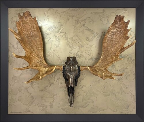 ALCES GIGAS I van Nico Mastroprimiano, Beeldhouwwerk te koop op Singulart