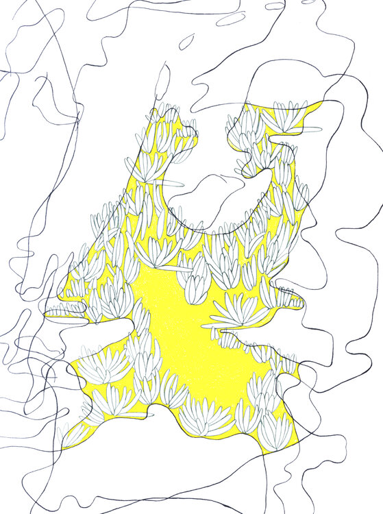 I am the river Laura Pels Ferra