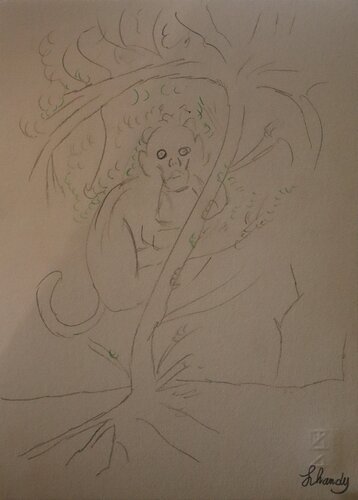 The solitude of a monkey by Lhandy, Drawing for Sale on Singulart