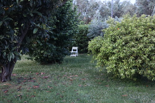 The Empty Guest #1 by Lhandy, Photography for Sale on Singulart