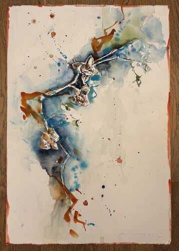 Wilde Orchidee von Tanja Schnabl, Malerei kaufen auf Singulart