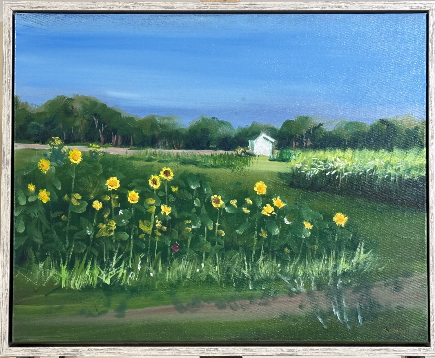 #308. Bistro 10 Garden Sunflowers Frank Gorman