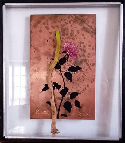 Rosa "rosa" antropocenica di Claudio Marani, Altri media in vendita su Singulart