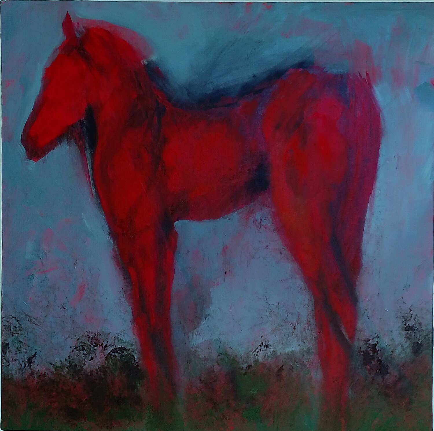 Cavallo rosso Claudio Marani