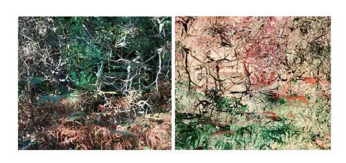 les contraires sont vrais (18 photographies) 1/18 - opposite are true van Nicolas Lespagnol, Fotografie te koop op Singulart