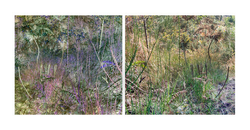 les contraires sont vrais (opposite are true) 18 photographies 2/18 van Nicolas Lespagnol, Fotografie te koop op Singulart