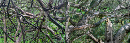 paysages soudés (welded landscapes) 40 photographies 2/40 van Nicolas Lespagnol, Fotografie te koop op Singulart