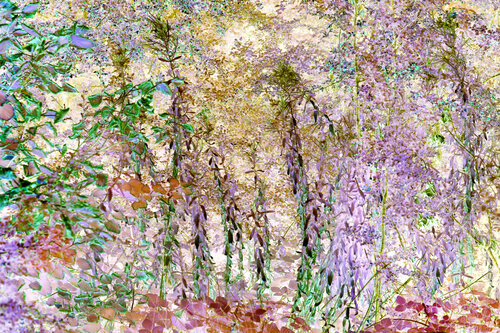 broderie (embroidery) 9 photographies von Nicolas Lespagnol, Fotografie kaufen auf Singulart