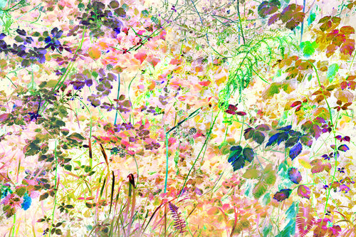 broderie (embroidery) 9 photographies 2/9 van Nicolas Lespagnol, Fotografie te koop op Singulart