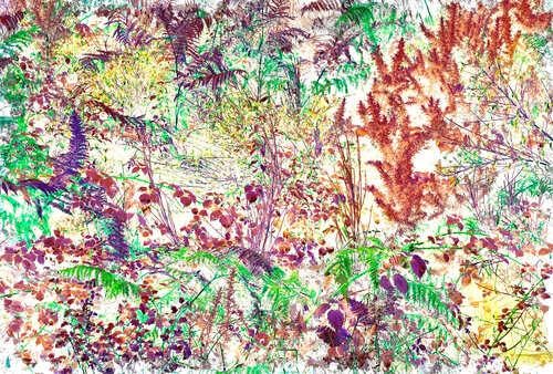 broderie (embroidery) 9 photographies 2/9 de Nicolas Lespagnol, Fotografía a la venta en Singulart