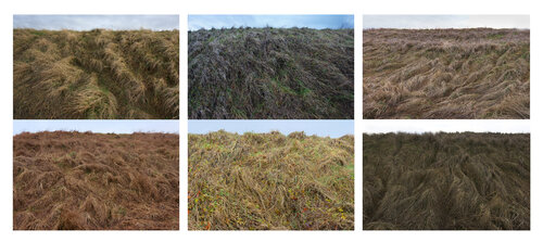 Talus 1/2 de Nicolas Lespagnol, Fotografía a la venta en Singulart