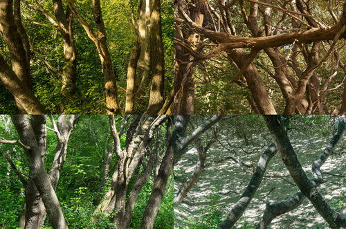 paysages soudés (welded landscapes) 40 photographies de Nicolas Lespagnol, Fotografía a la venta en Singulart