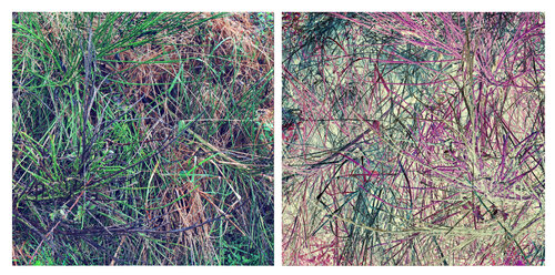 les contraires sont vrais (opposite are true) 18 photographies 2/18 von Nicolas Lespagnol, Fotografie kaufen auf Singulart