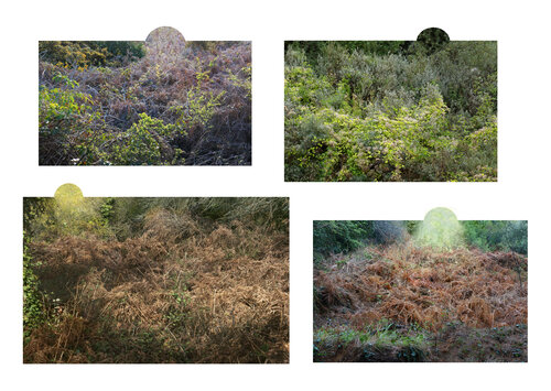 Soleils 1/2 Nicolas Lespagnol