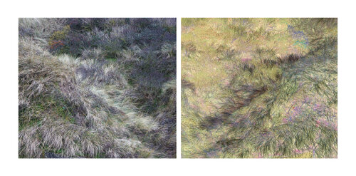 les contrairesx sont vrais (opposite are true) 18 photographies van Nicolas Lespagnol, Fotografie te koop op Singulart