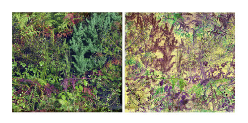 les contrairesx sont vrais (opposite are true) 18 photographies van Nicolas Lespagnol, Fotografie te koop op Singulart
