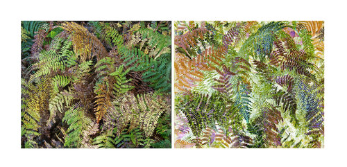 les contrairesx sont vrais (opposite are true) 18 photographies by Nicolas Lespagnol, Photography for Sale on Singulart