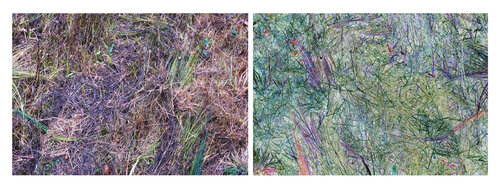 les contrairesx sont vrais (opposite are true) 18 photographies di Nicolas Lespagnol, Fotografia in vendita su Singulart