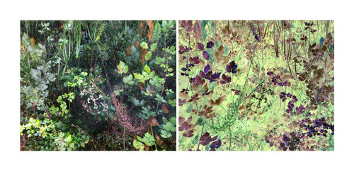 les contraires sont vrais (opposite are true) 18 photographies 2/18 van Nicolas Lespagnol, Fotografie te koop op Singulart
