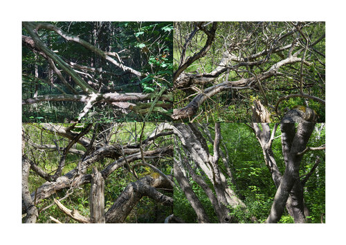 paysages soudés (welded landscapes) 40 photographies de Nicolas Lespagnol, Fotografía a la venta en Singulart