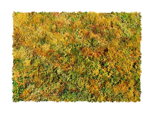 Pelouse 2/2 de Nicolas Lespagnol, Fotografía a la venta en Singulart