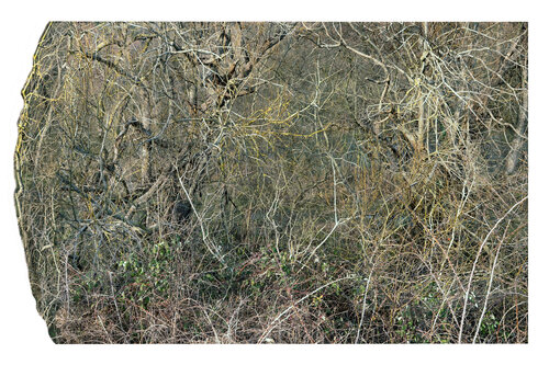 La all-over de Jackson Pollock 3/9 de Nicolas Lespagnol, Fotografía a la venta en Singulart