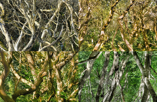 paysages soudés (welded landscapes) 40 photographies de Nicolas Lespagnol, Fotografía a la venta en Singulart