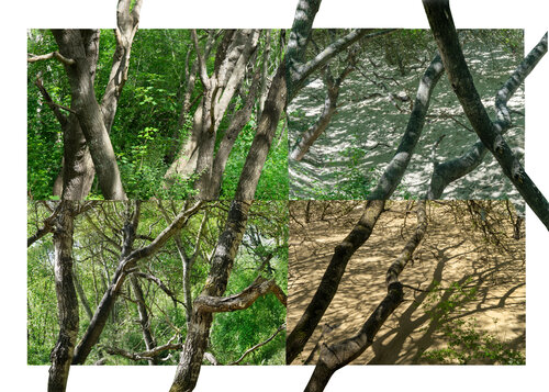 paysages soudés (welded landscapes) 40 photographies di Nicolas Lespagnol, Fotografia in vendita su Singulart