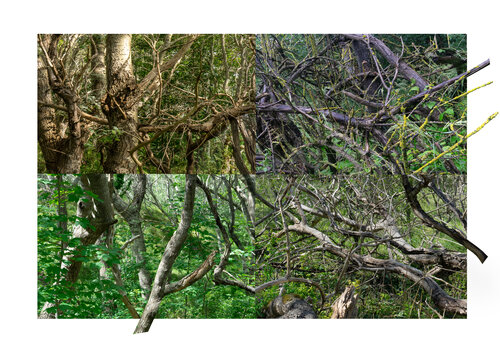 paysages soudés (welded landscapes) 40 photographies de Nicolas Lespagnol, Fotografía a la venta en Singulart