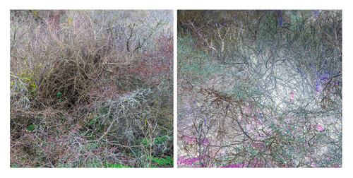 les contraires sont vrais (opposite are true) 18 photographies 2/18 de Nicolas Lespagnol, Fotografía a la venta en Singulart