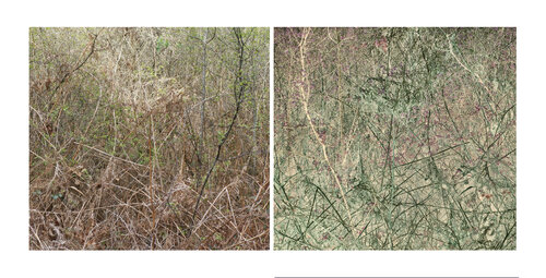 les contrairesx sont vrais (opposite are true) 18 photographies van Nicolas Lespagnol, Fotografie te koop op Singulart