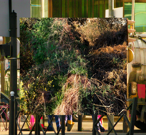 Confusion (la nature sertie d'urbain comme un ebague) 3/11 de Nicolas Lespagnol, Fotografía a la venta en Singulart