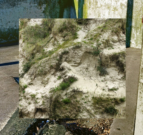 Confusion (la nature sertie d'urbain comme un ebague) 3/11 van Nicolas Lespagnol, Fotografie te koop op Singulart