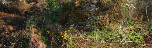 paysages soudés (welded landscapes) 40 photographies 2/40 de Nicolas Lespagnol, Fotografía a la venta en Singulart