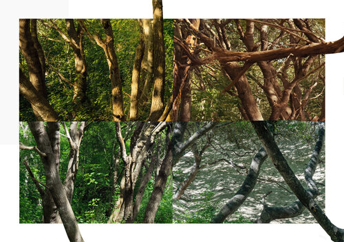 paysages soudés (welded landscapes) 40 photographies Nicolas Lespagnol