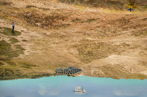Paysage inversés (40 photographies) 15/40 le robot et l'abeille charpentière van Nicolas Lespagnol, Fotografie te koop op Singulart