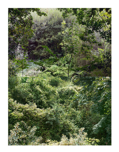 paysages soudés (welded landscapes) 40 photographies  11/40 de Nicolas Lespagnol, Fotografía a la venta en Singulart