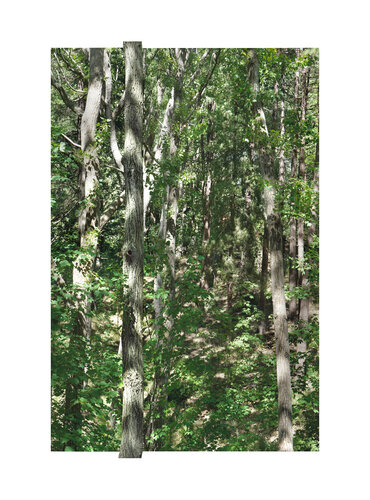 Hors cadre 5/20 de Nicolas Lespagnol, Fotografía a la venta en Singulart