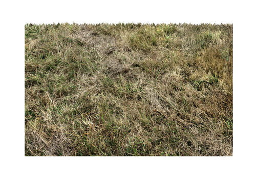 Hors cadre de Nicolas Lespagnol, Fotografía a la venta en Singulart