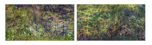 les contrairesx sont vrais (opposite are true) 18 photographies de Nicolas Lespagnol, Fotografía a la venta en Singulart