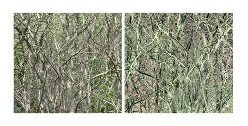 les contrairesx sont vrais (opposite are true) 18 photographies di Nicolas Lespagnol, Fotografia in vendita su Singulart