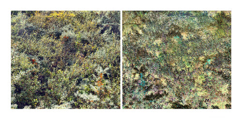 les contraires sont vrais (opposite are true) 18 photographies Nicolas Lespagnol